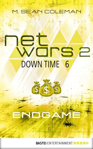 Cover of the book netwars 2 - Down Time 6: Endgame by Danny Wattin