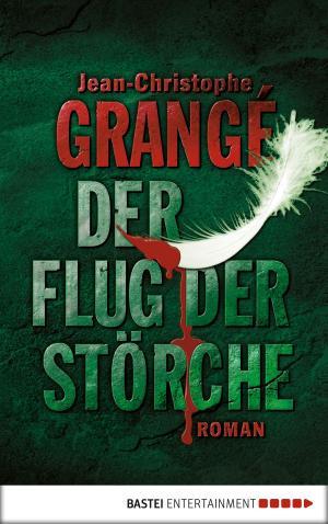 Cover of the book Der Flug der Störche by Ann Granger