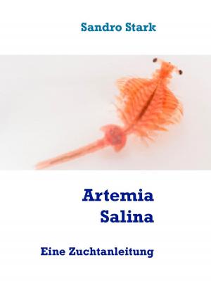 Cover of the book Artemia Salina by Joachim Jäck