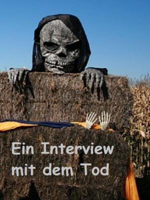 Cover of the book Ein Interview mit dem Tod by Brigitte Hild