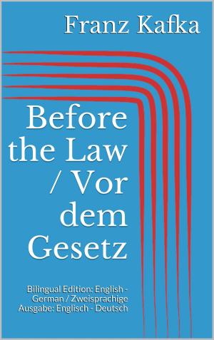 Book cover of Before the Law / Vor dem Gesetz