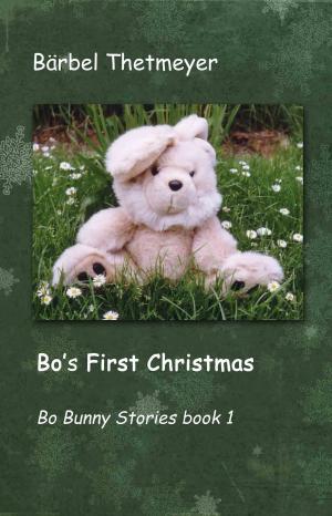 Cover of the book Bo's First Christmas by Pat Reepe