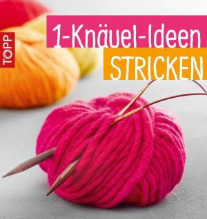 Cover of the book 1-Knäuel-Ideen stricken by Susanne Wicke