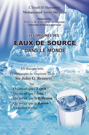 Cover of the book Les Origines Des Eaux De Source Dans Le Monde by Mattis Lundqvist