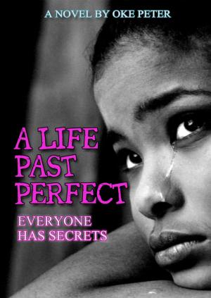 Cover of the book A Life Past Perfect by Klaus Tiberius Schmidt