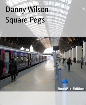 Cover of the book Square Pegs by Benjamin Bauda