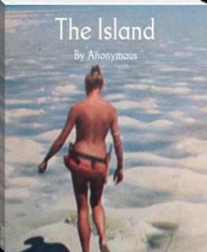 Cover of the book The Island by Donna McCullough