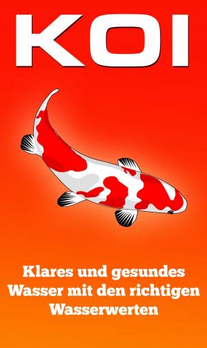 Cover of the book KOI by Agnes M. Holdborg