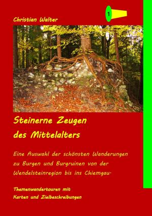 Cover of the book Steinerne Zeugen des Mittelalters by Jörg Becker