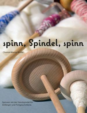 Cover of the book spinn, Spindel, spinn by Ellen Eagle