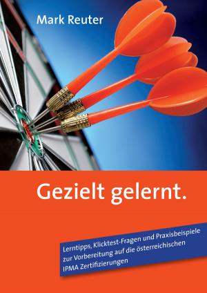 Cover of the book Gezielt gelernt by William Prides