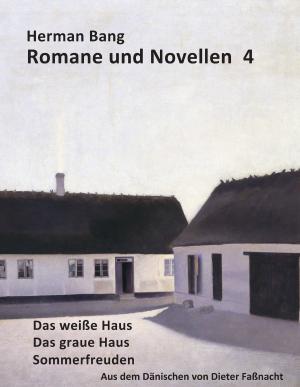 Cover of the book Romane und Novellen 4 by Jörg Becker