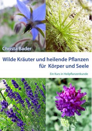 Cover of the book Wilde Kräuter und Heilende Pflanzen für Körper und Seele by Reinhart Brandau