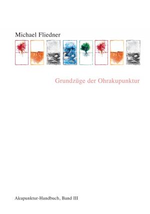 Cover of the book Grundzüge der Ohrakupunktur by Harald Mizerovsky