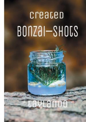 Cover of the book Created Bonzai-Shots by Jutta Schütz
