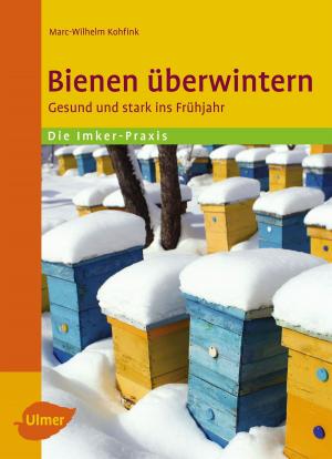 Cover of the book Bienen überwintern by Mirjam Beile