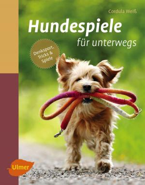 Cover of the book Hundespiele für unterwegs by Christine Volm