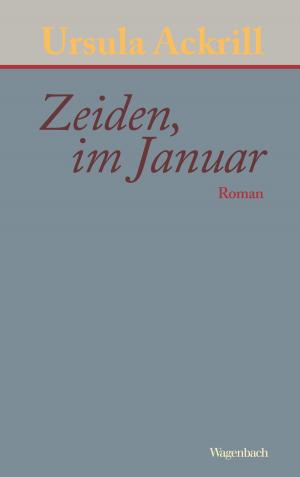 Cover of the book Zeiden, im Januar by Haci-Halil Uslucan
