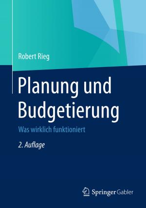 Cover of the book Planung und Budgetierung by Florian Schuhmacher, Roland Geschwill