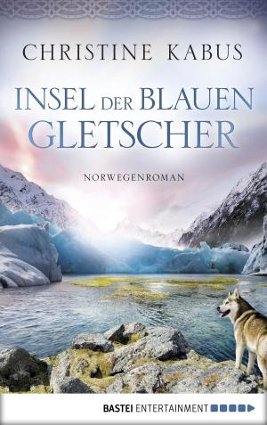 Book cover of Insel der blauen Gletscher