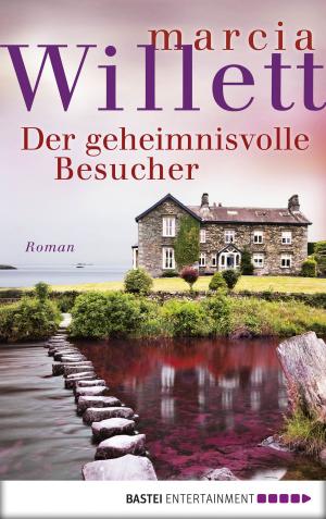 Cover of the book Der geheimnisvolle Besucher by Jean-Christophe Grangé