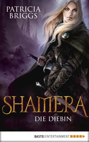 Cover of the book Shamera - Die Diebin by Jasmin Eden