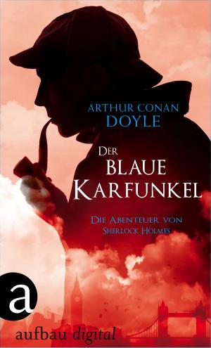 Book cover of Der blaue Karfunkel