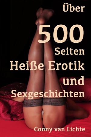 Book cover of Über 500 Seiten Heiße Erotik und Sexgeschichten