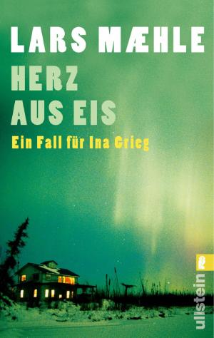 Cover of the book Herz aus Eis by Alida Bremer, Michael Krüger