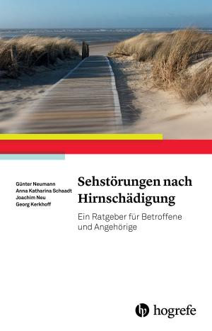 Cover of the book Sehstörungen nach Hirnschädigung by Martin Schuster