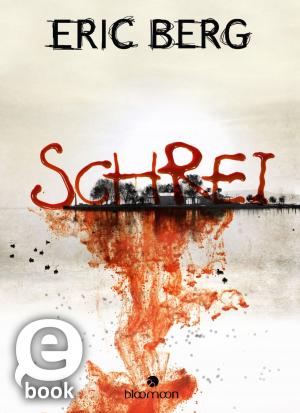 Book cover of Schrei