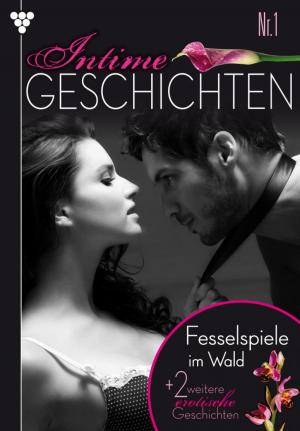 Cover of the book Intime Geschichten 1 – Erotikroman by Toni Waidacher