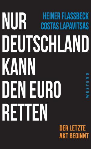 Cover of the book Nur Deutschland kann den Euro retten by Stephan Hebel