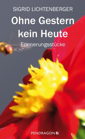 Cover of Ohne Gestern kein Heute