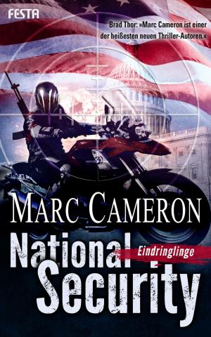 Cover of the book National Security - Eindringlinge by Bryan Smith
