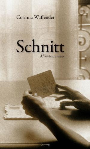 Cover of the book Schnitt by Christoph Klimke, Mario Wirz