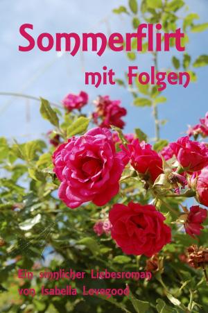 Book cover of Sommerflirt mit Folgen