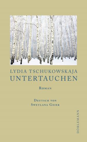 Cover of the book Untertauchen by Colum McCann
