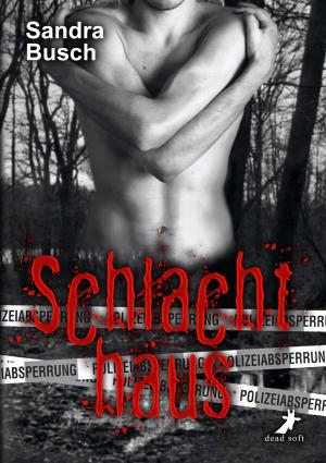 Cover of the book Schlachthaus by Sandra Gernt