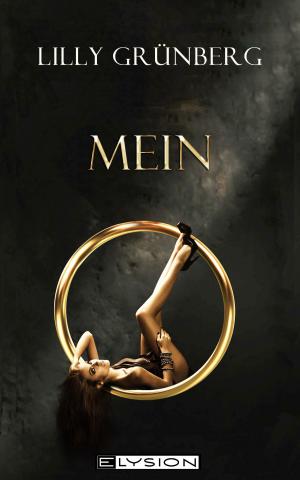Cover of the book Mein by Jona Mondlicht