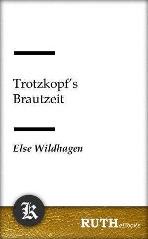 Cover of the book Trotzkopfs Brautzeit by Agnes Sapper