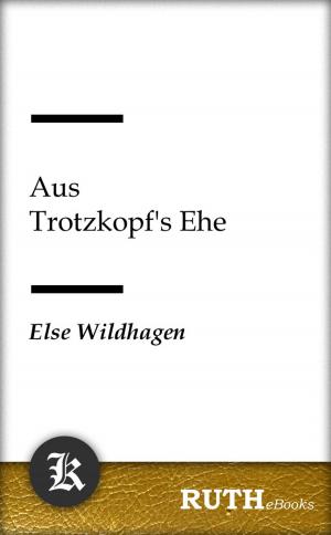 Cover of the book Aus Trotzkopfs Ehe by Honore de Balzac