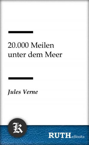 Cover of the book 20.000 Meilen unter dem Meer by Theodor Fontane