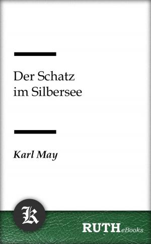 Cover of the book Der Schatz im Silbersee by Gerdt von Bassewitz