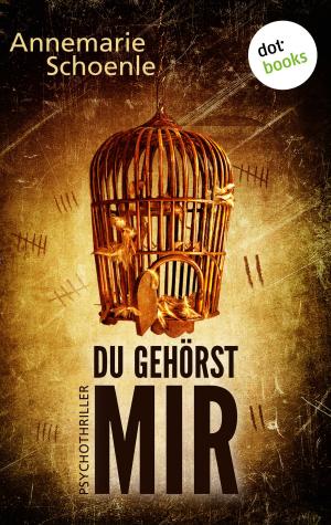 Cover of the book Du gehörst mir by Jack Strange