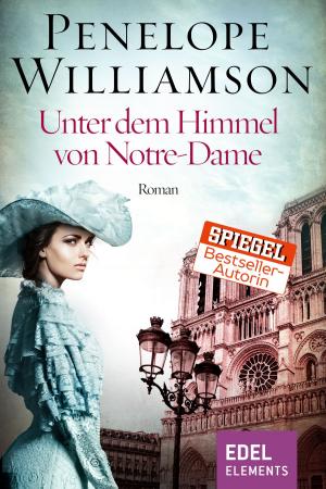 Cover of the book Unter dem Himmel von Notre-Dame by Magus Magellan, Bernhard Hennen