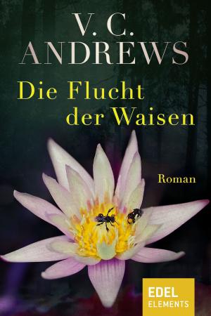Book cover of Die Flucht der Waisen