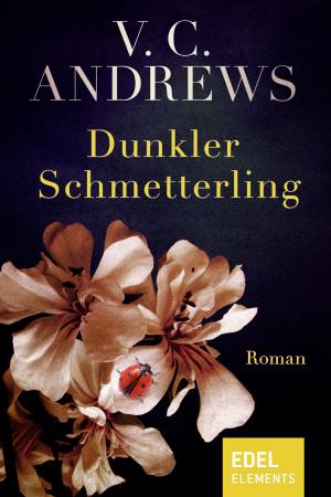 Book cover of Dunkler Schmetterling