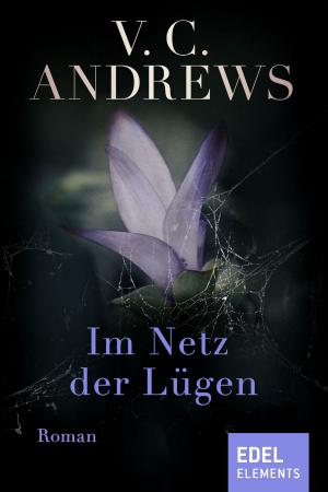 Cover of the book Im Netz der Lügen by Victoria Holt