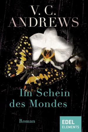 Book cover of Im Schein des Mondes